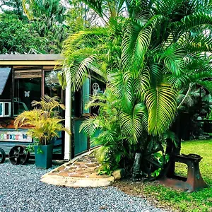 https://butterfly-studio.queenslandhotels.net
