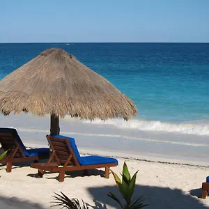 sol-caribe-punta-allen.quintano-roohotels.com/